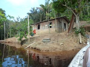 Life along the Amazon River (20)