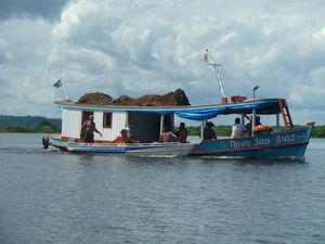 Life along the Amazon River (30)