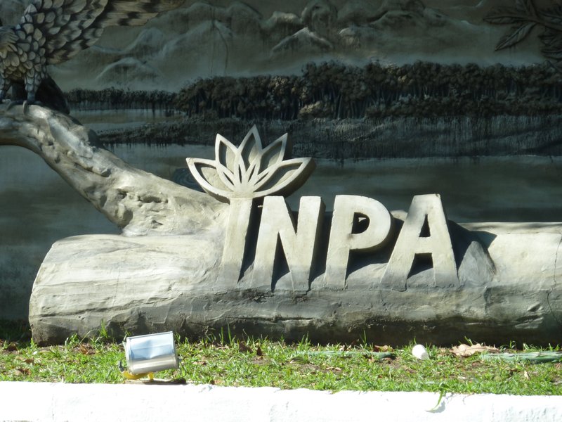 INPA - Instituto de National Pesquisas de Amazona (19)