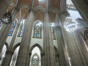 Cathedral da Se (11)