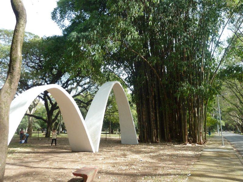 Park Ibirapuera in Jardin, Sao Paulo (20)
