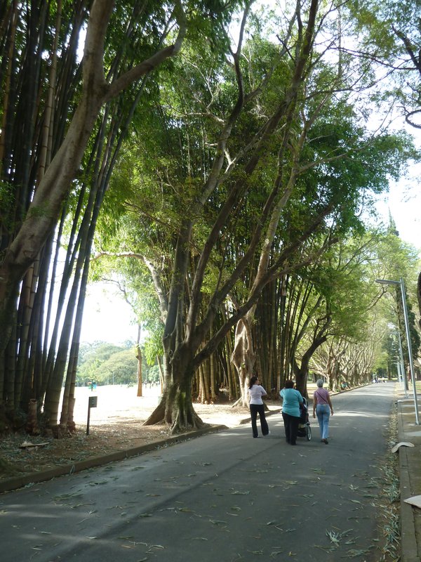 Park Ibirapuera in Jardin, Sao Paulo (21)