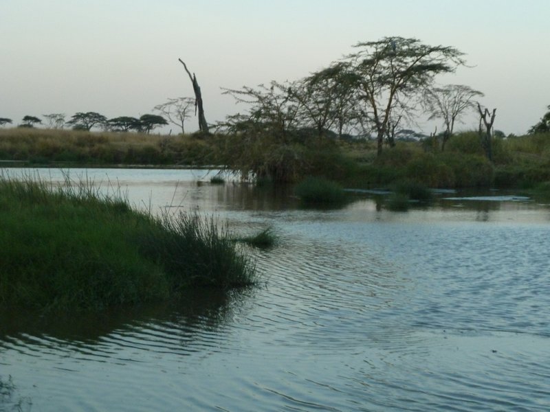 Serengeti Park (25)