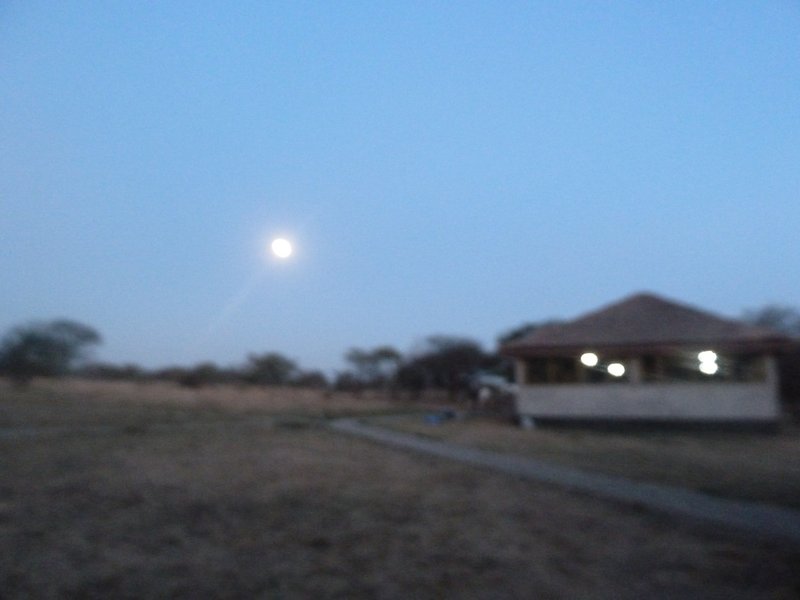 Serengeti Park moon in morning (43)