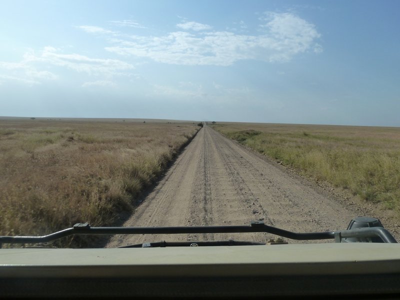Serengeti Plains (5)