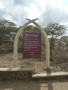 1 Rules of Serengeti National Park