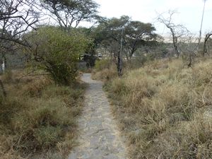 Naabi Hill Serengeti Plains (3)