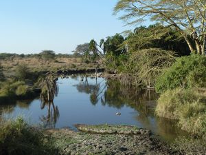 Serengeti Park (105)