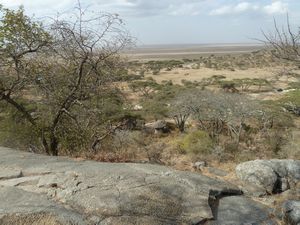 Naabi Hill Serengeti Plains (10)