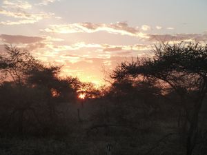 Serengeti Park sunrise(61)