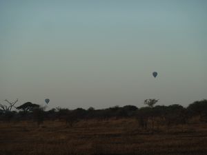 Serengeti Park Hotair Baloons(69)