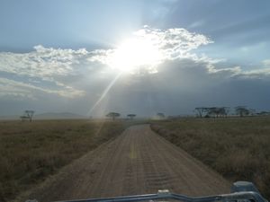 Serengeti Plains (1)