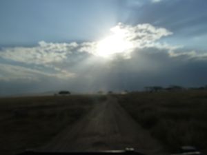 Serengeti Plains sunrise (19)