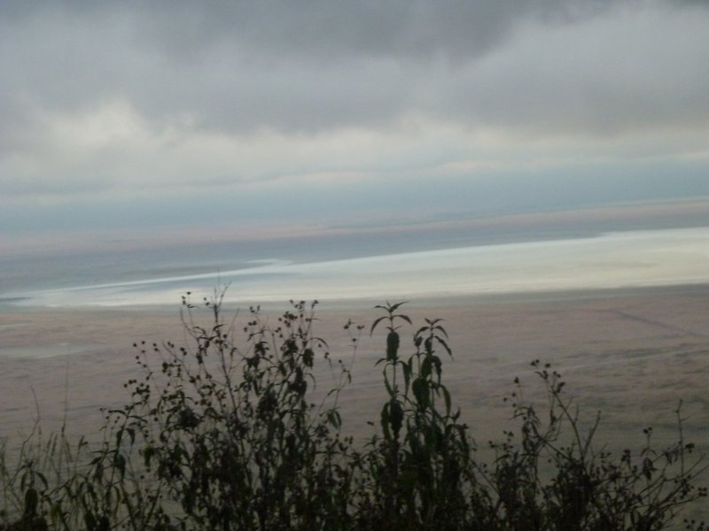 Ngorongoro Crater (25)