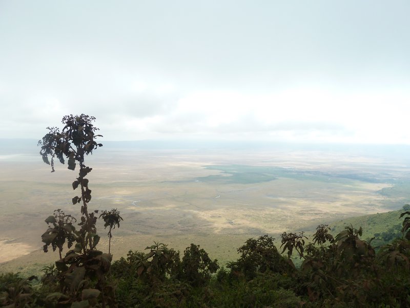 Ngorongoro Crater (4)