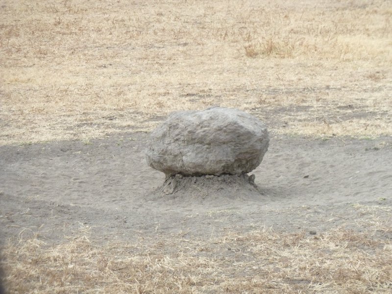 Ngorongoro Crater unusual rock animals drank around it(83)