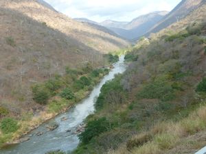Ruaha River (7)