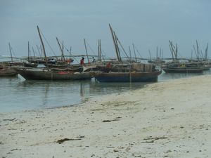 Amaan Bungalows Zanzibar north beach (9)