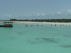 Snorkling Trip 8 Aug off west coast Zanzibar (9)