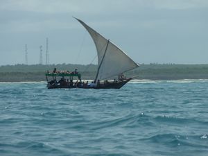 Snorkling Trip 8 Aug off west coast Zanzibar (19)
