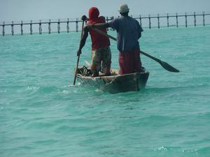 Snorkling Trip 8 Aug off west coast Zanzibar (26)