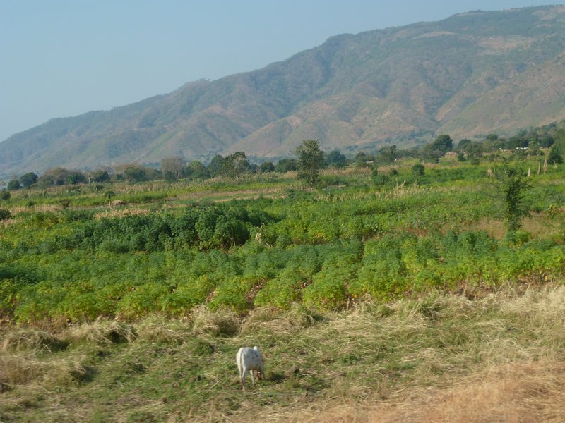 Chitimba Beach Lake Malawi (20)