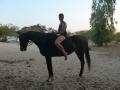 Kande Beach horse riding (40)
