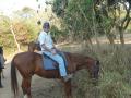 Kande Beach horse riding (25)