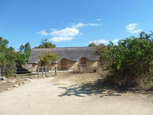 Kisolanza Farm Iringa (9)