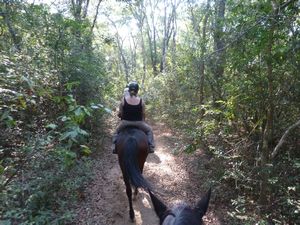 Kande Beach horse riding (20)
