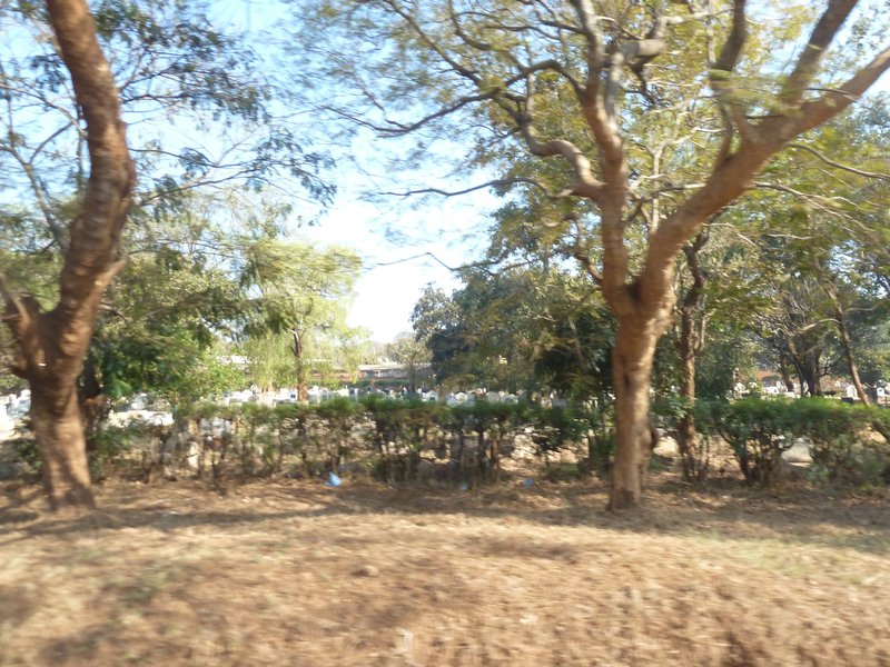 Lilongwe Capital of Malawi (41)