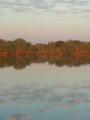 Zambizi River Sunrise 20 August (5)