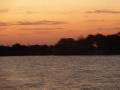 Zambezi River Sunset Cruise (3)