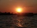 Zambezi River Sunset Cruise (84)