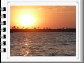 Zambezi River Sunset Cruise (90)