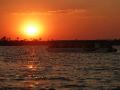 Zambezi River Sunset Cruise (93)