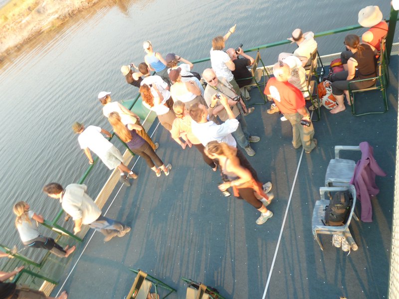 Chobe River Sunset Cruise (19)