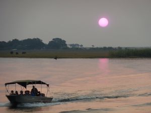 Chobe River Sunset Cruise (1)