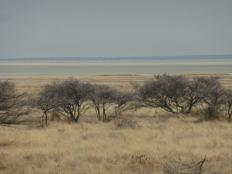 Etosha National Park Namibia (109)