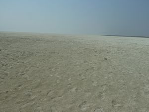 Etosha National Park Namibia salt pan (210)