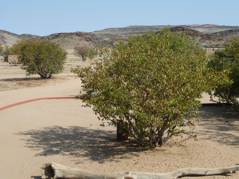 Aba-Huab our accomodation in Damaraland Namibia (8)