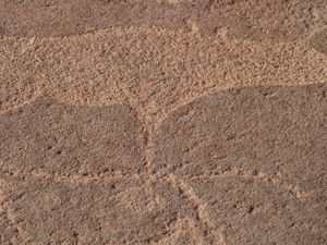 Twyfelfontein Centre and Carvings by Damara and San people (21)