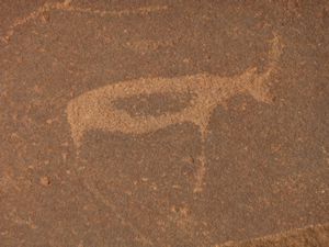 Twyfelfontein Centre and Carvings by Damara and San people (27)