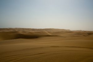 Toms Dune Bashing on Quadbike Namib Desert (6)