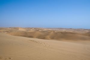 Toms Dune Bashing on Quadbike Namib Desert (7)