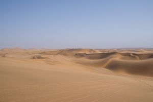 Toms Dune Bashing on Quadbike Namib Desert (10)