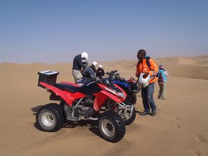 Toms Dune Bashing on Quadbike Namib Desert (13)