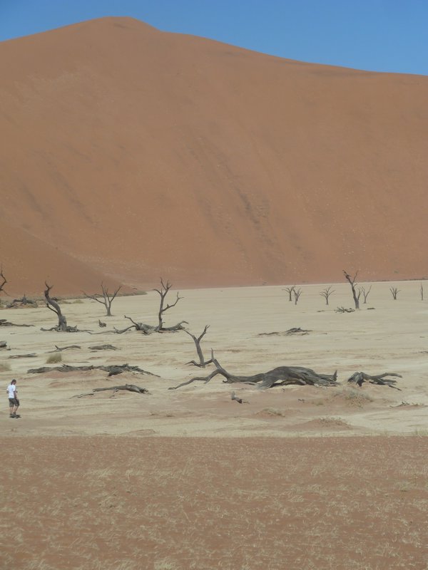 Deadvlei Namibia Desert (45)