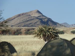 namib