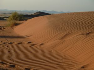 Desert walk with Frans (61)